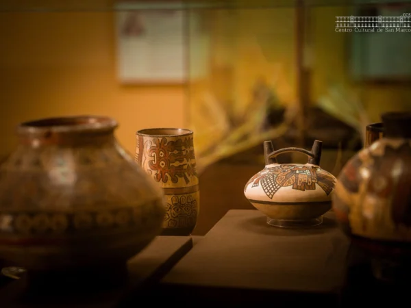 MUSEO DE ARQUEOLOGÍA Y ANTROPOLOGÍA DE LA UNMSM