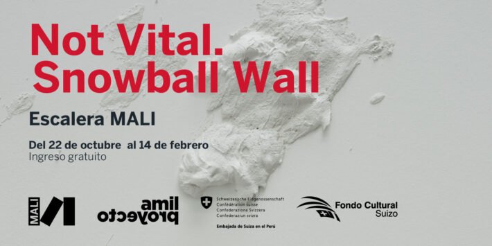 SNOWBALL WALL