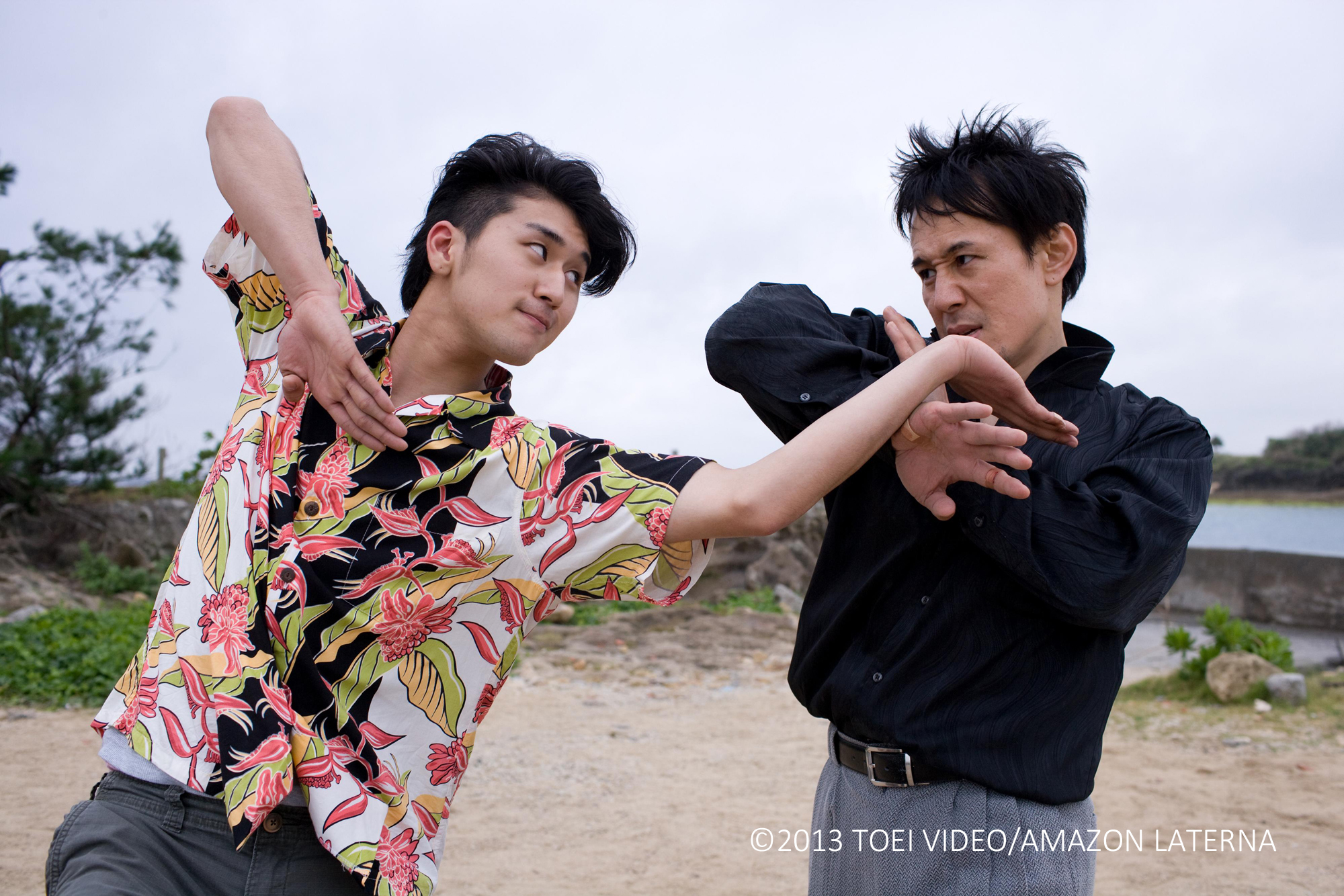 DANCING KARATE KID