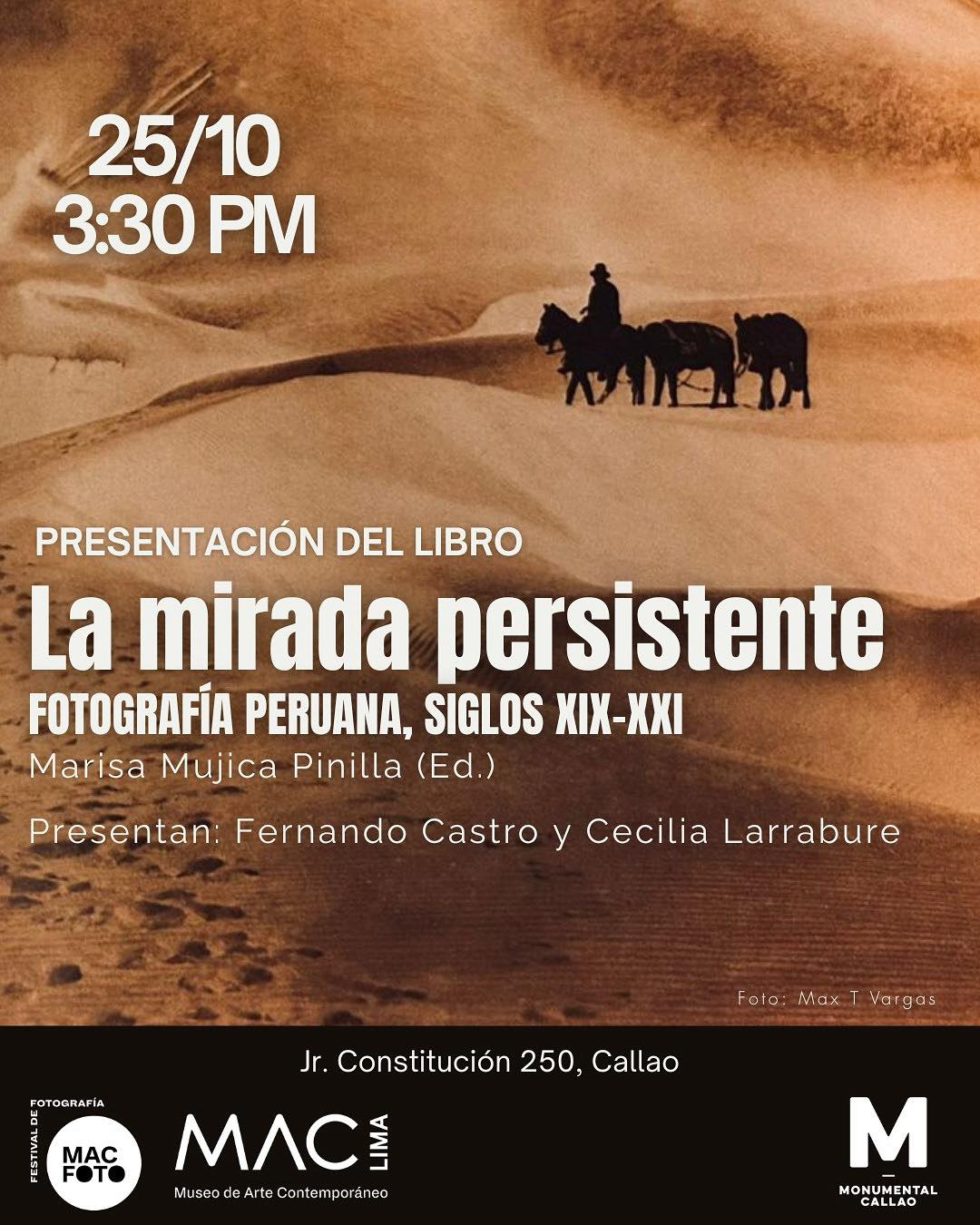 LA MIRADA PERSISTENTE
