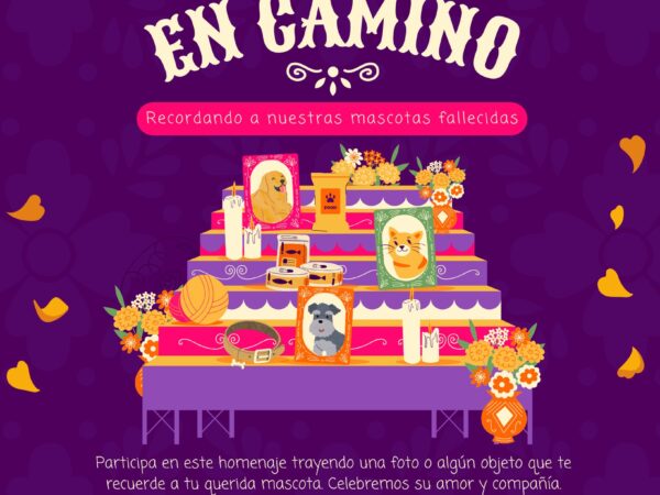 NUESTROS ÁNGELES DE 4 PATAS