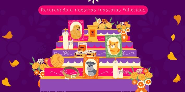 NUESTROS ÁNGELES DE 4 PATAS