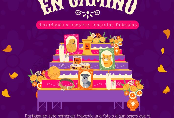 NUESTROS ÁNGELES DE 4 PATAS