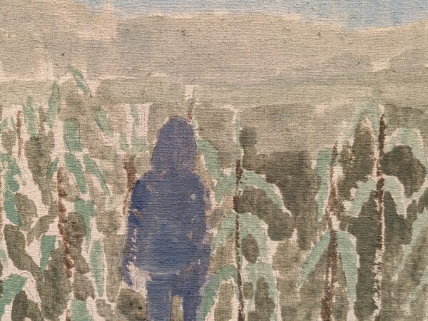 FUI A BUSCAR LA LLUVIA