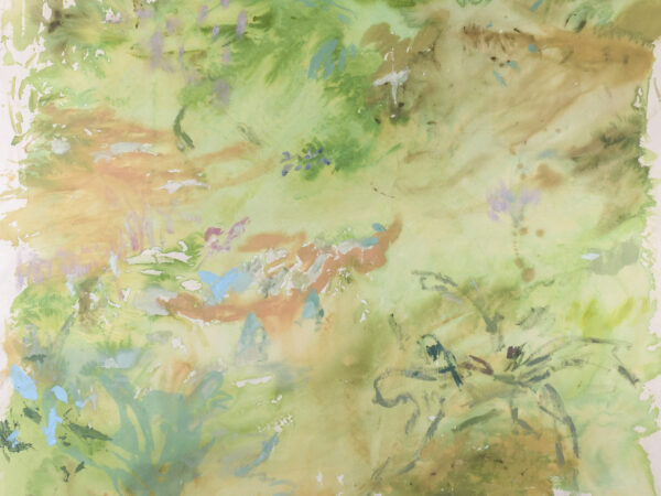 ENSAYOS SOBRE EL PAISAJE