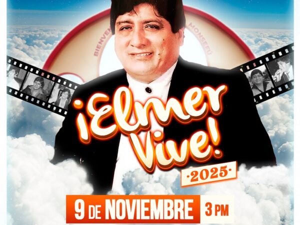 ELMER VIVE 2025