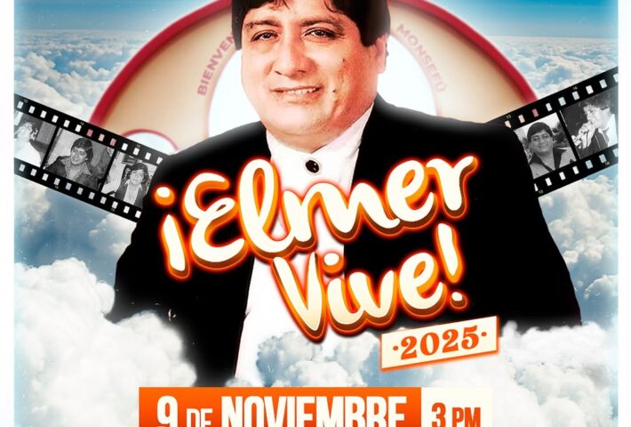 ELMER VIVE 2025