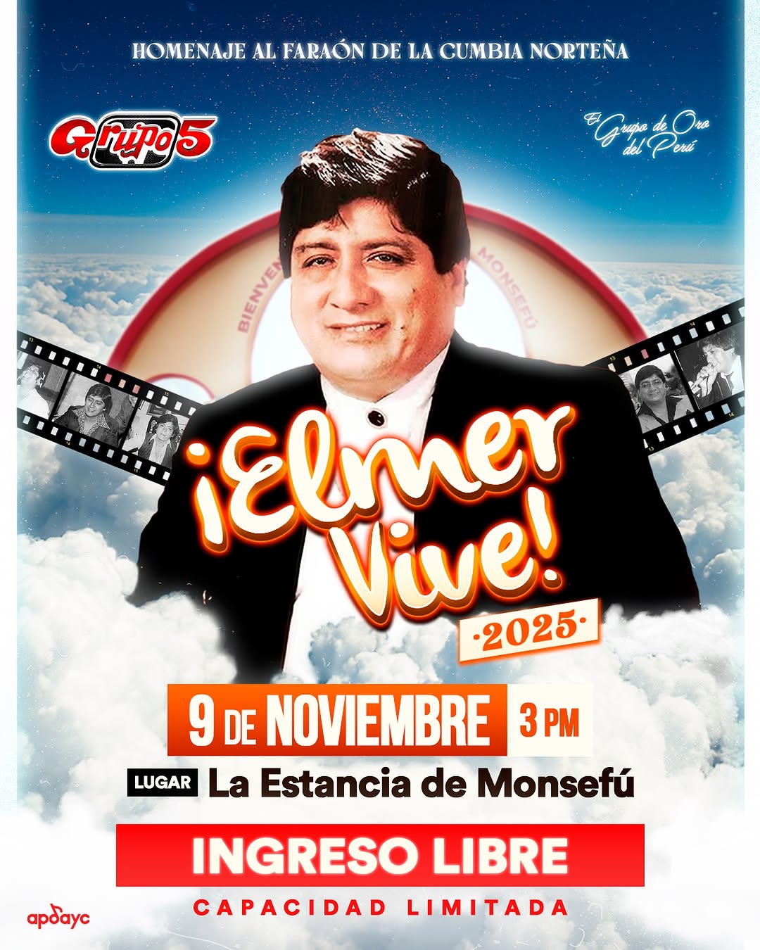 ELMER VIVE 2025