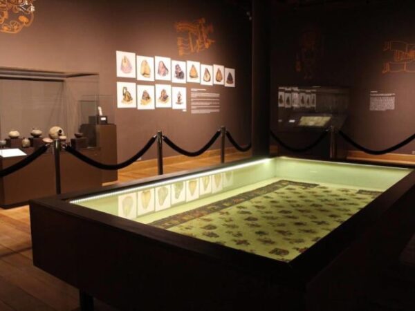106° ANIVERSARIO DEL MUSEO DE ARQUEOLOGÍA Y ANTROPOLOGÍA
