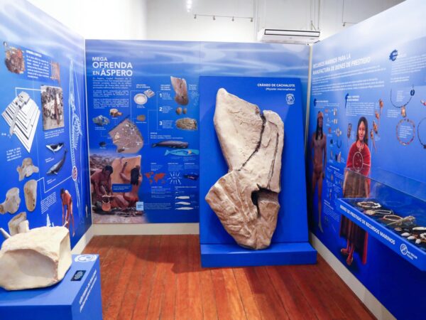 TECNOLOGÍA PESQUERA Y SEGURIDAD ALIMENTARIA