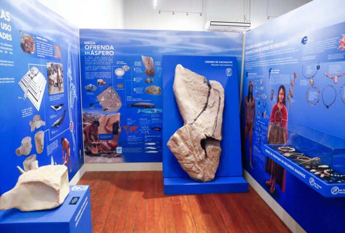 TECNOLOGÍA PESQUERA Y SEGURIDAD ALIMENTARIA