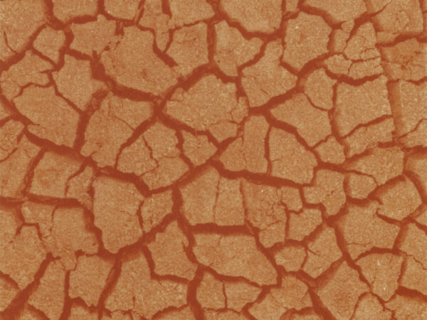 HUELLAS DE AIRE Y FUEGO