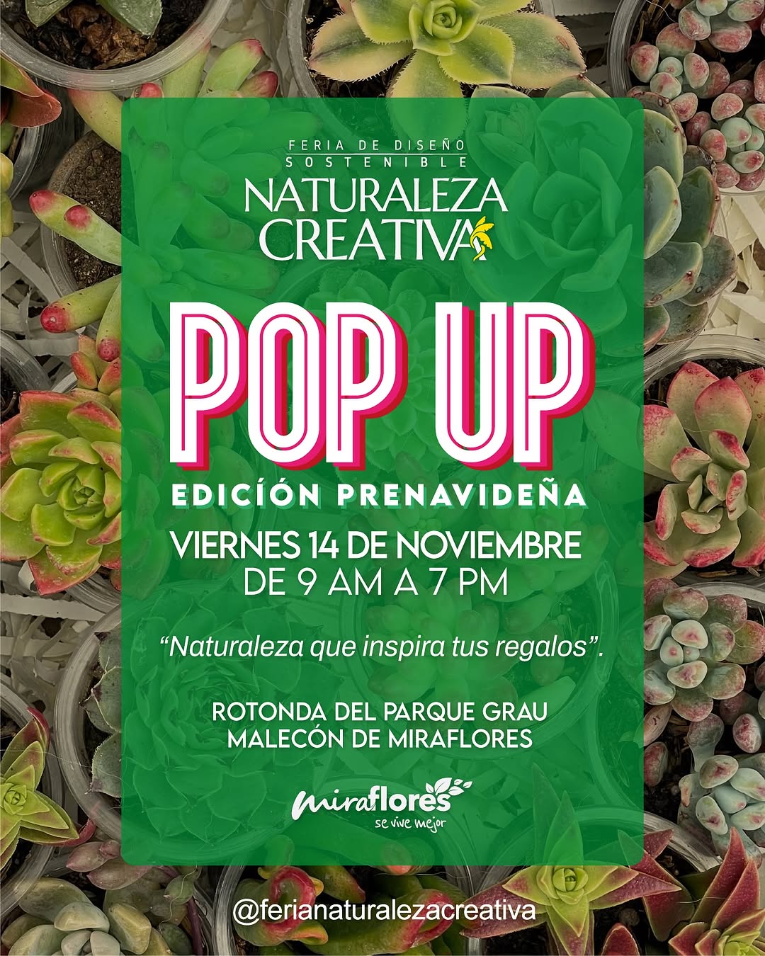NATURALEZA CREATIVA