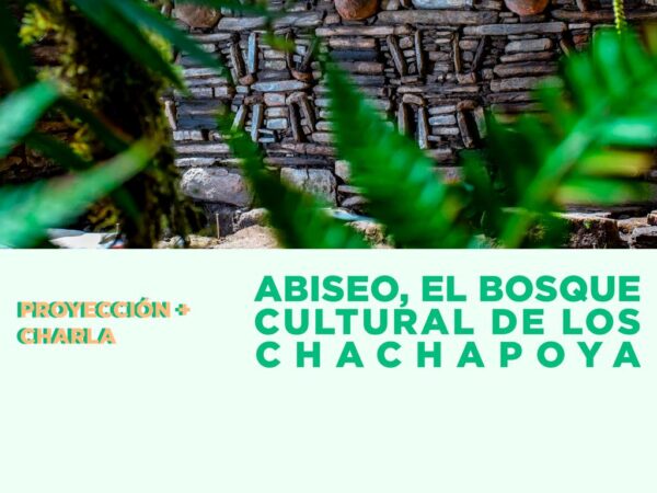 ABISEO, EL BOSQUE CULTURAL DE LOS CHACHAPOYA