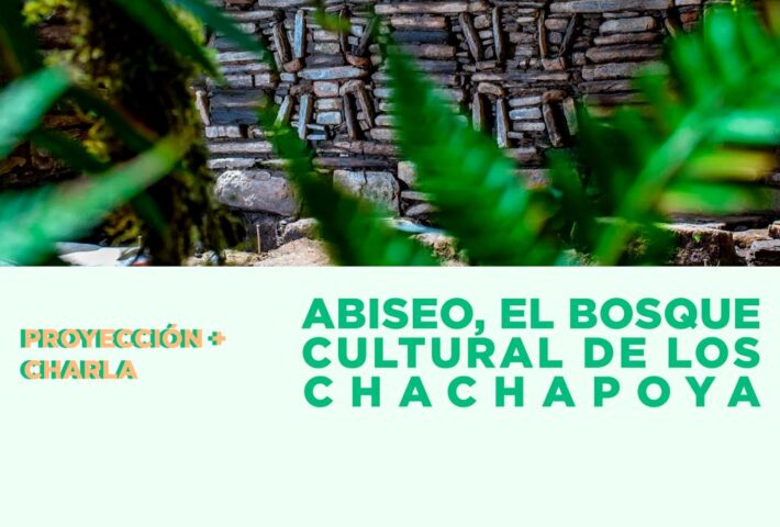 ABISEO, EL BOSQUE CULTURAL DE LOS CHACHAPOYA