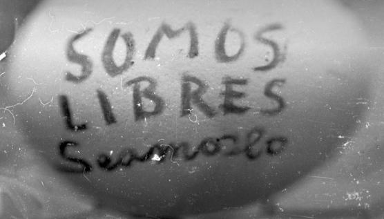 PARÉNTESIS: UNA VANGUARDIA INVISIBLE