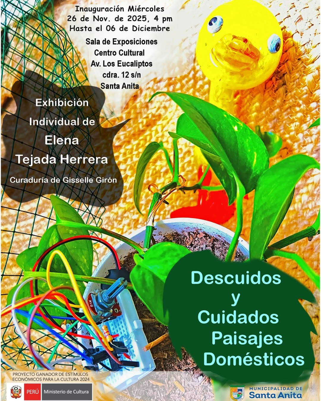 DESCUIDO Y CUIDADOS
