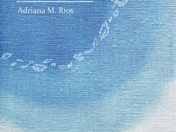 MUDARSE ES UN VERBO DE MOVIMIENTO