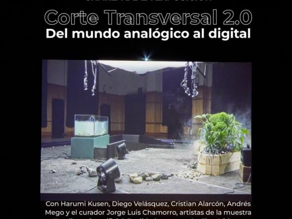 CORTE TRANSVERSAL 2.0