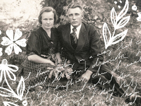 VIDEOCARTAS DESDE EL MUSEO