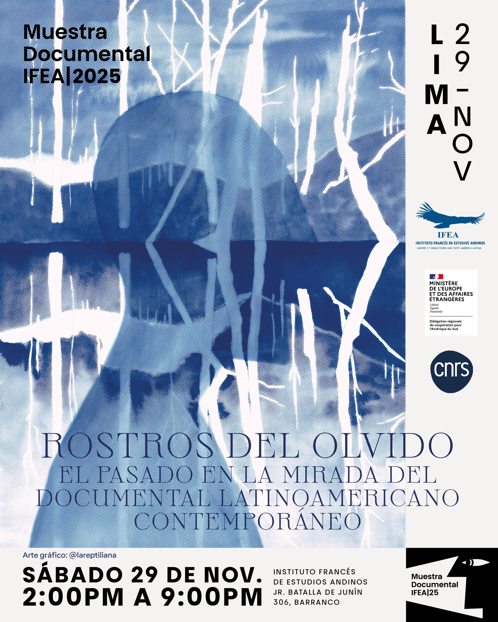 MUESTRA DOCUMENTAL IFEA
