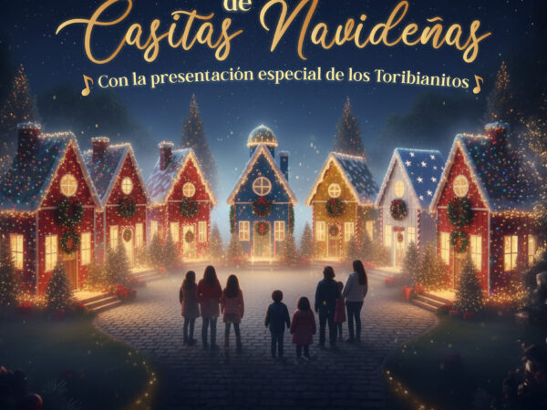 ENCENDIDO CASITAS NAVIDEÑAS