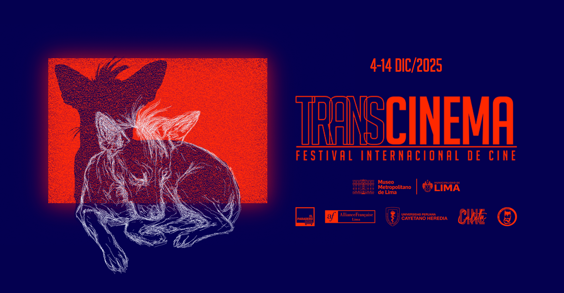 FESTIVAL TRANSCINEMA
