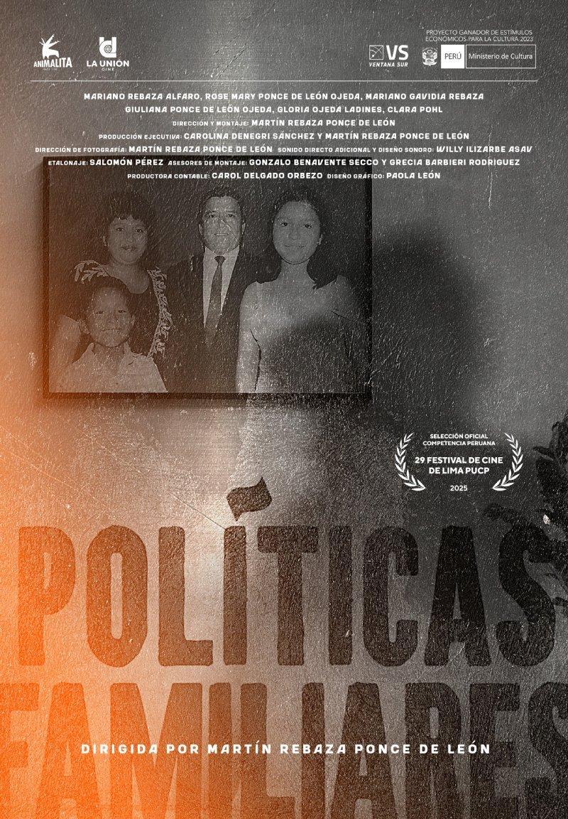 POLITICAS FAMILIARES