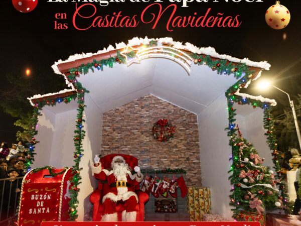 CASITAS NAVIDEÑAS