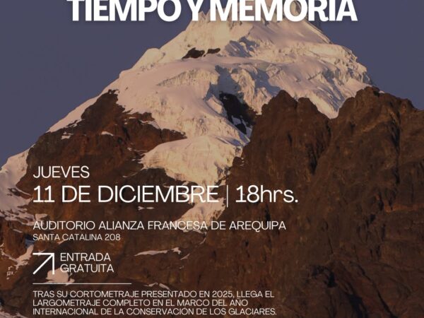 GLACIARES ANDINOS: TIEMPO Y MEMORIA