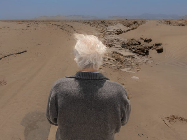 VARGUITAS, LA VERDAD DE LAS MENTIRAS