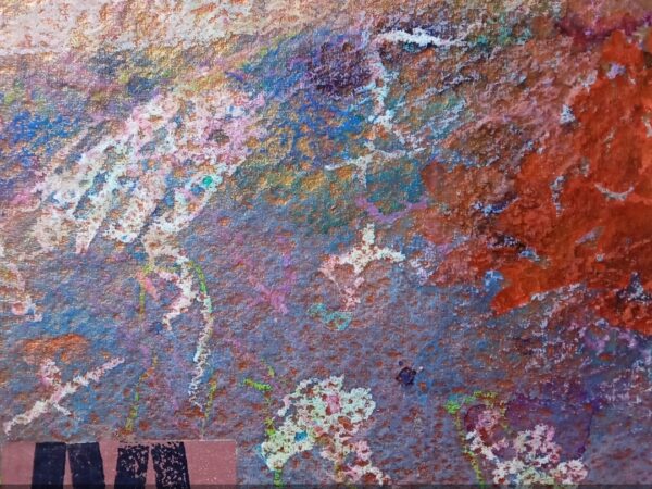 FLOWERS OF WESTERN IRELAND