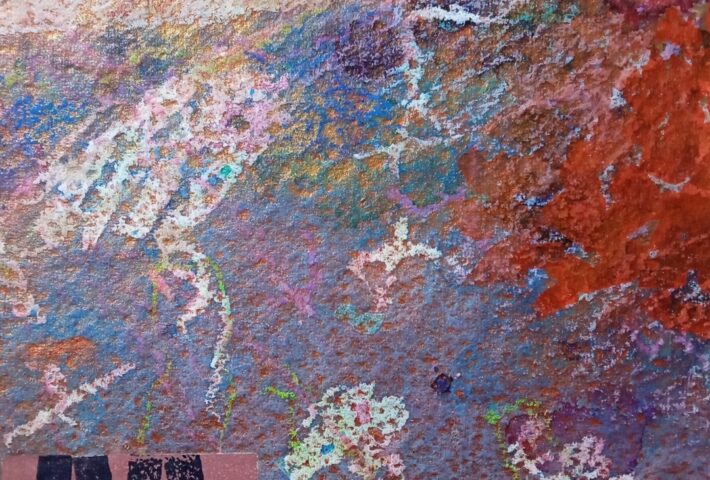 FLOWERS OF WESTERN IRELAND