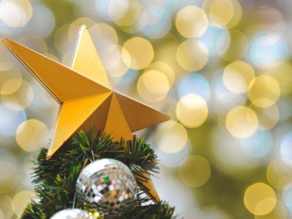 LA ESTRELLA DE NAVIDAD