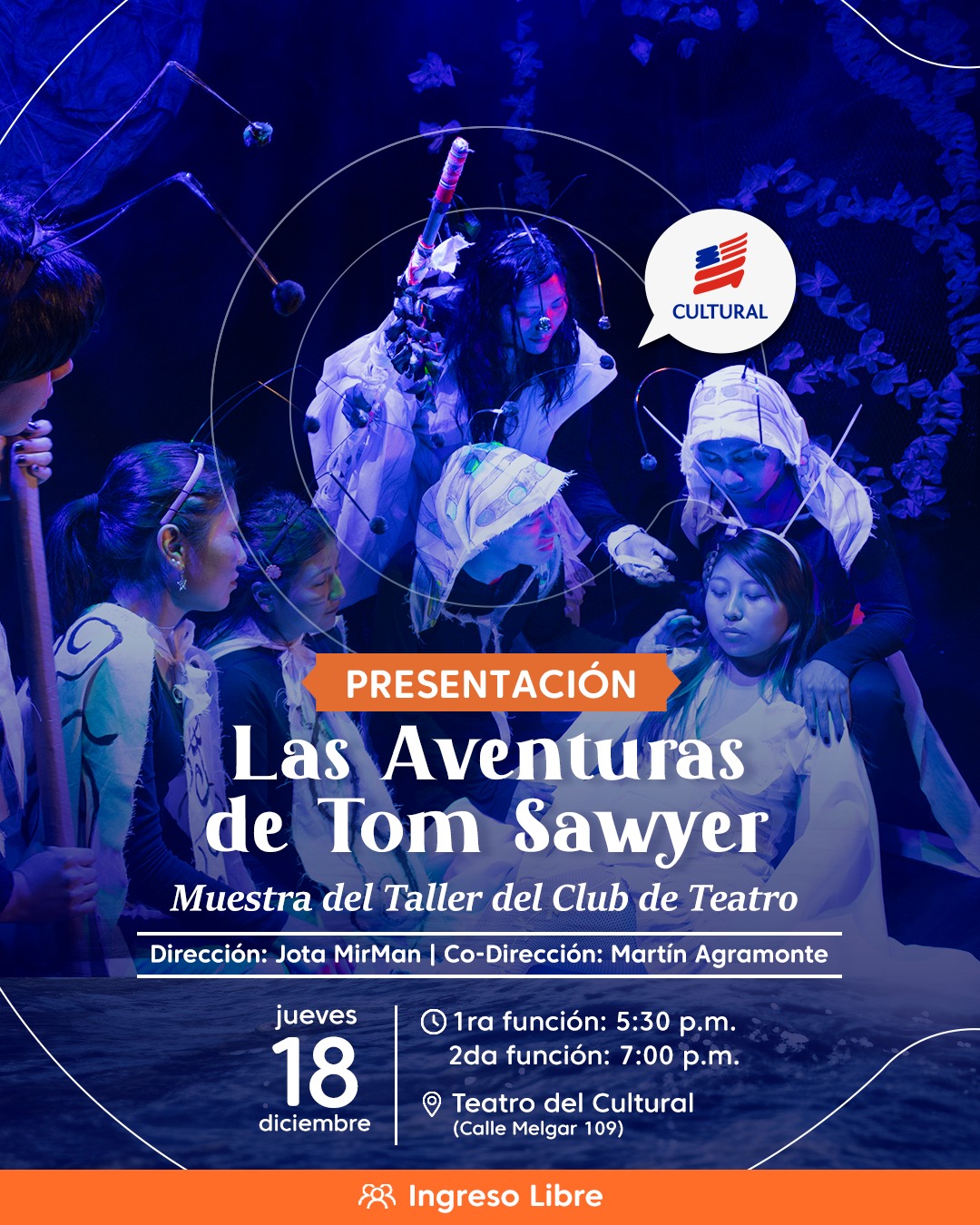 LAS AVENTURAS DE TOM SAWYER