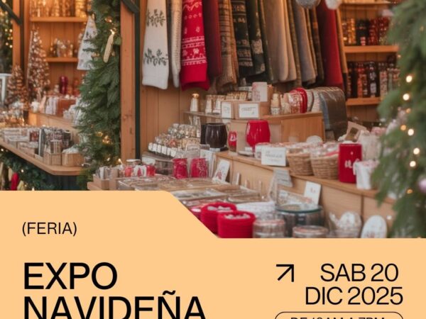EXPO NAVIDEÑA CHIO LECCA