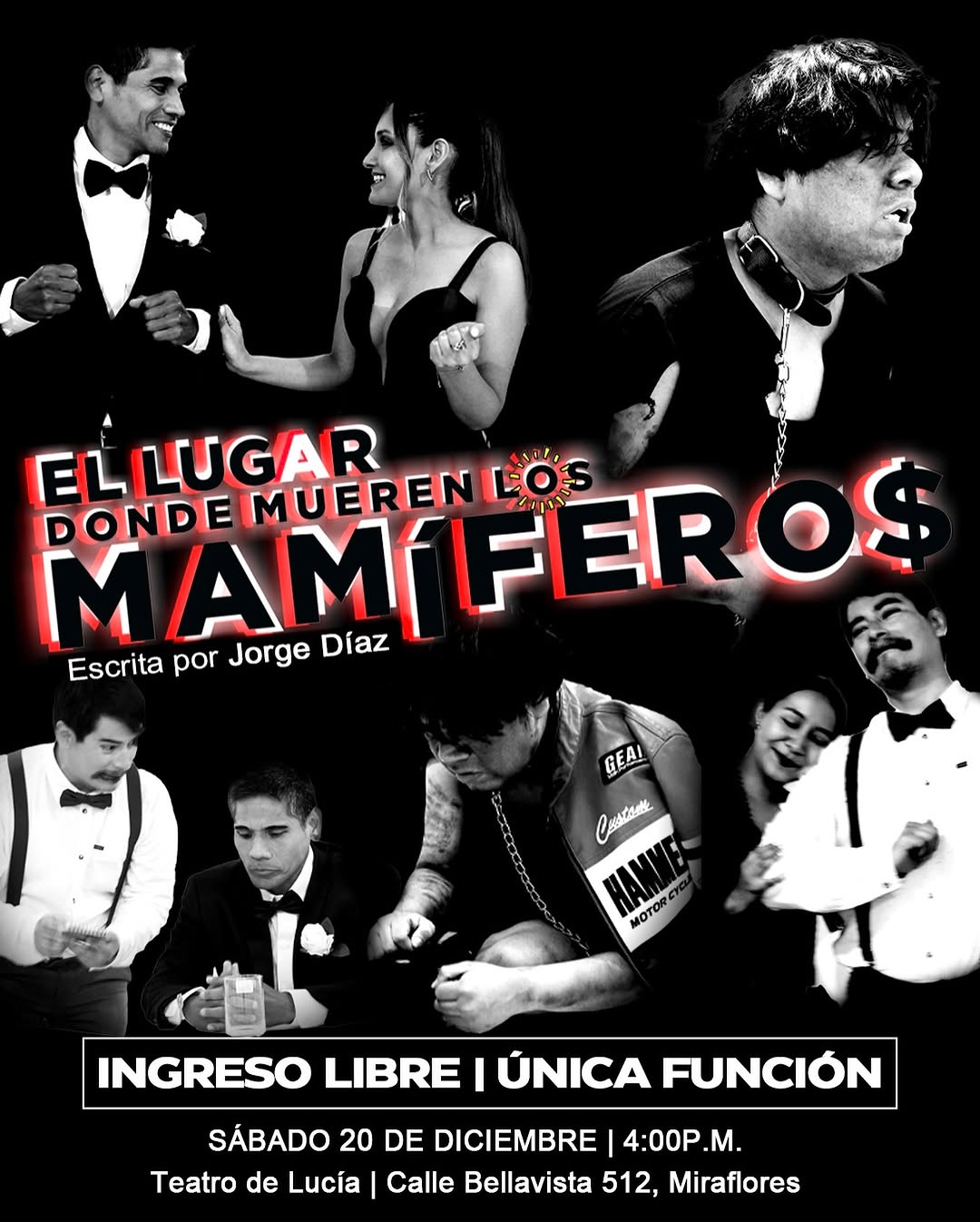 EL LUGAR DONDE MUEREN LOS MAMÍFEROS