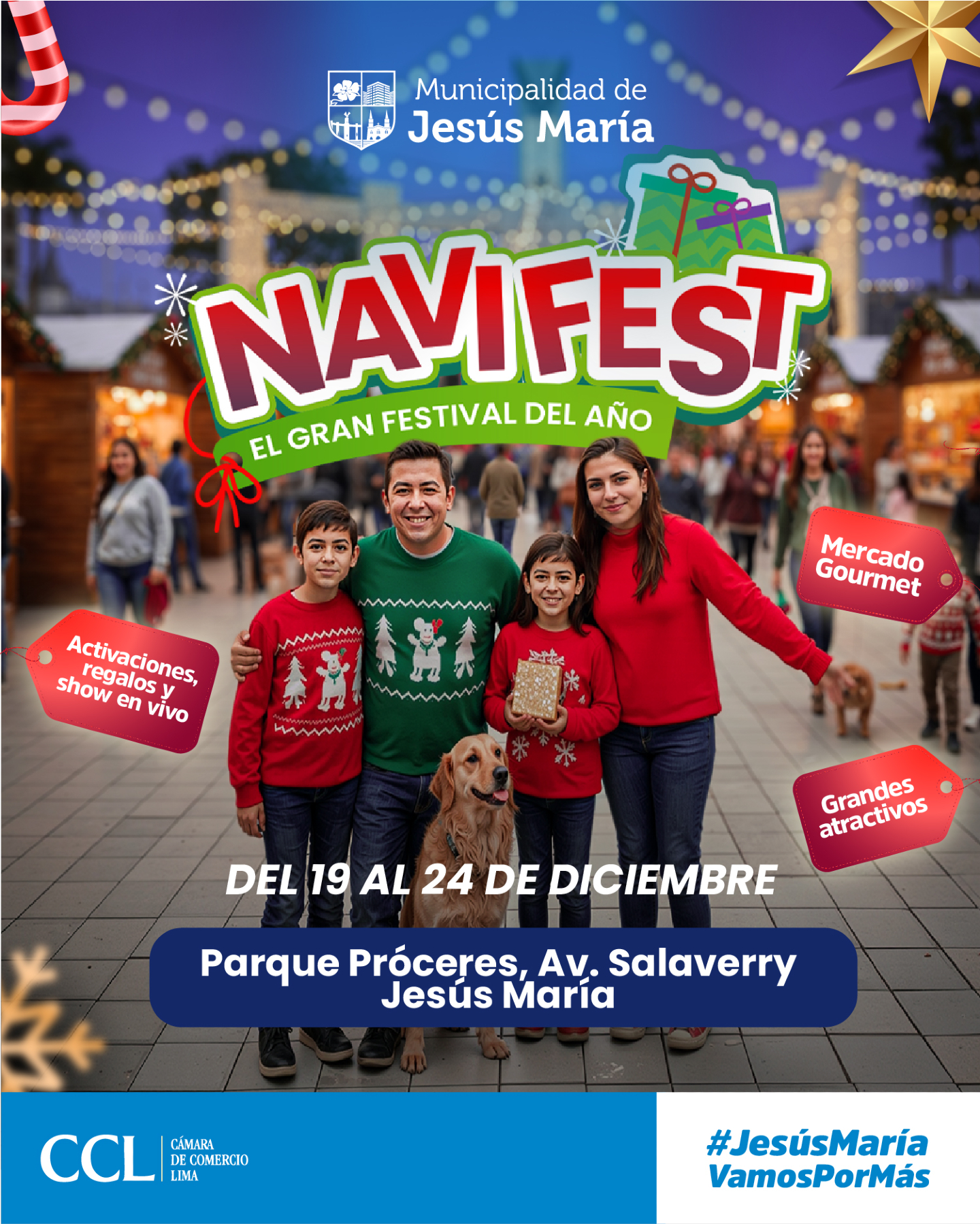 NAVIFEST