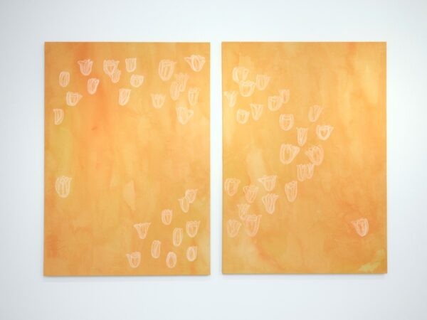 FLORES DE RECUPERACIÓN