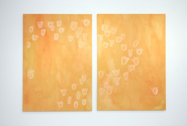 FLORES DE RECUPERACIÓN