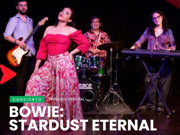 BOWIE: STARDUST ETERNAL
