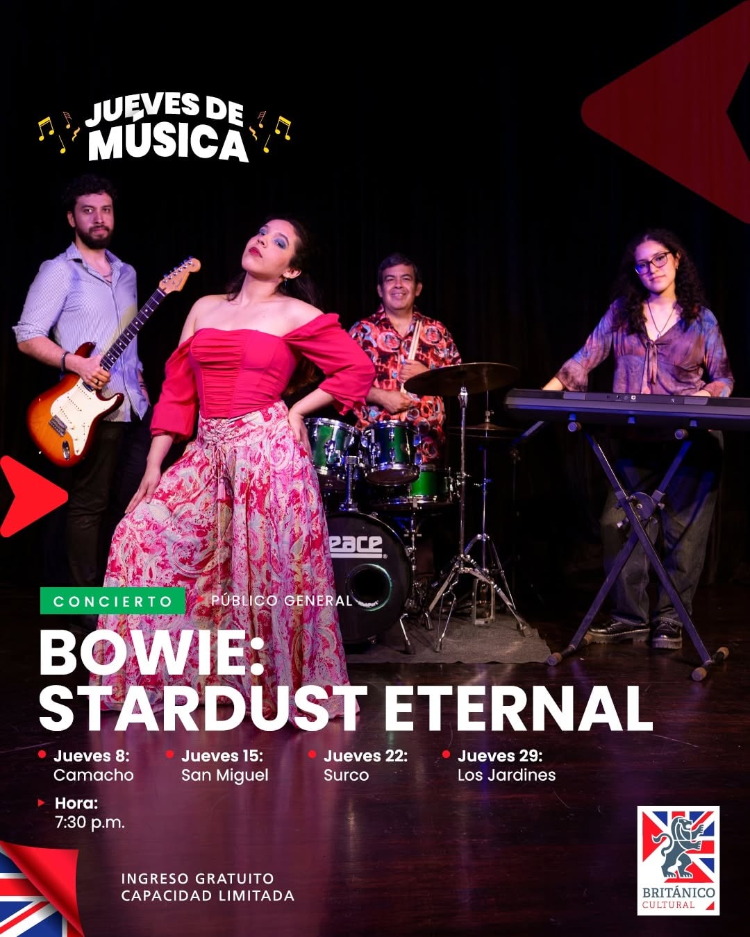 BOWIE: STARDUST ETERNAL