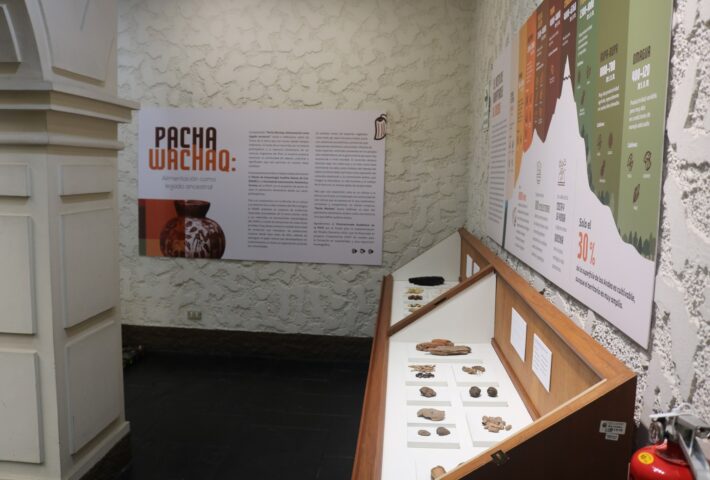 CELEBREMOS A LIMA EN EL MUSEO