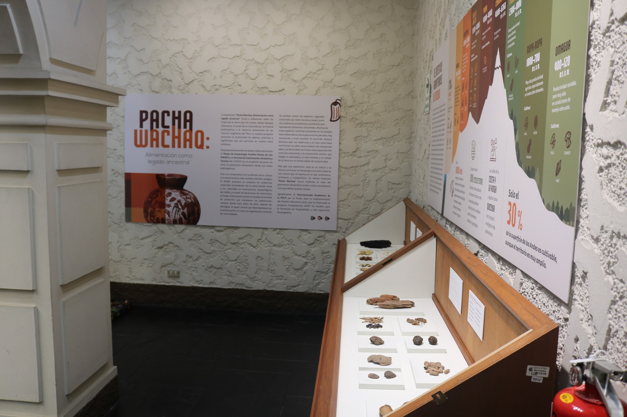 CELEBREMOS A LIMA EN EL MUSEO