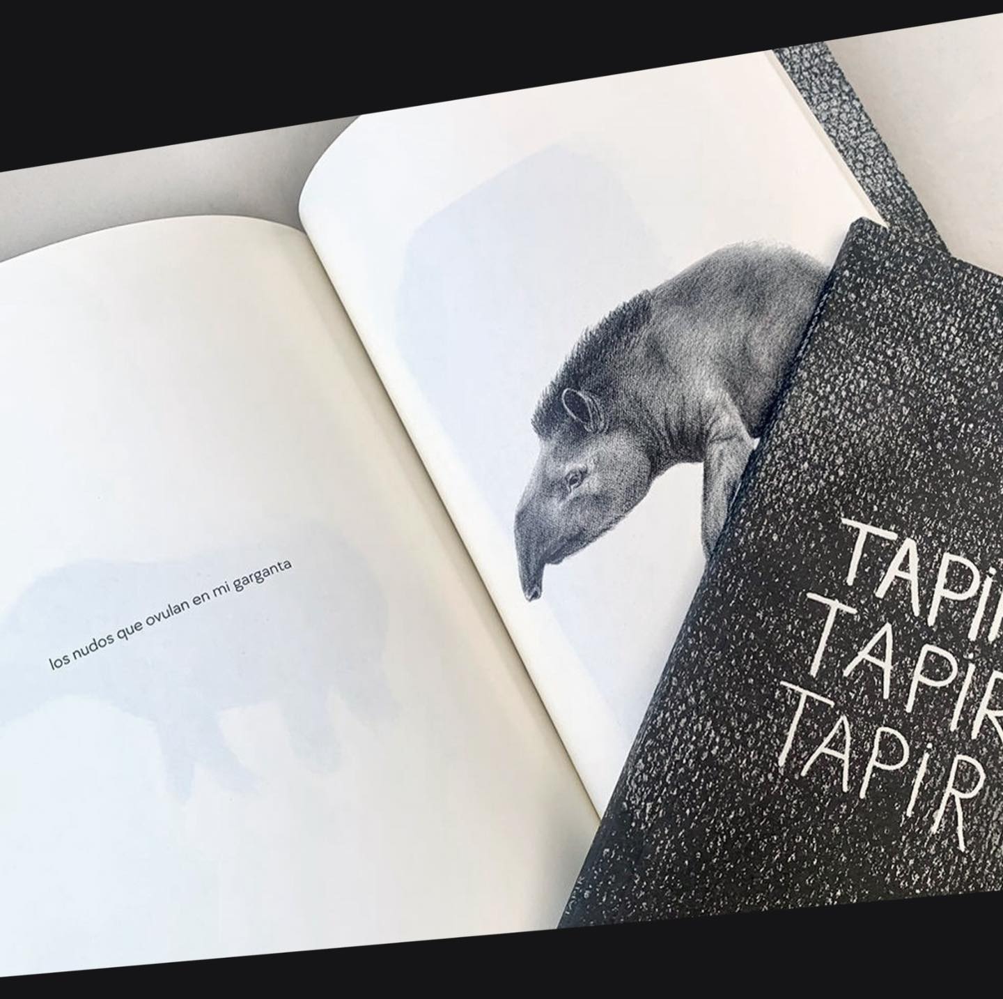 TAPIR, TAPIR TAPIR