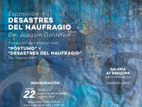 DESASTRES DEL NAUFRAGIO