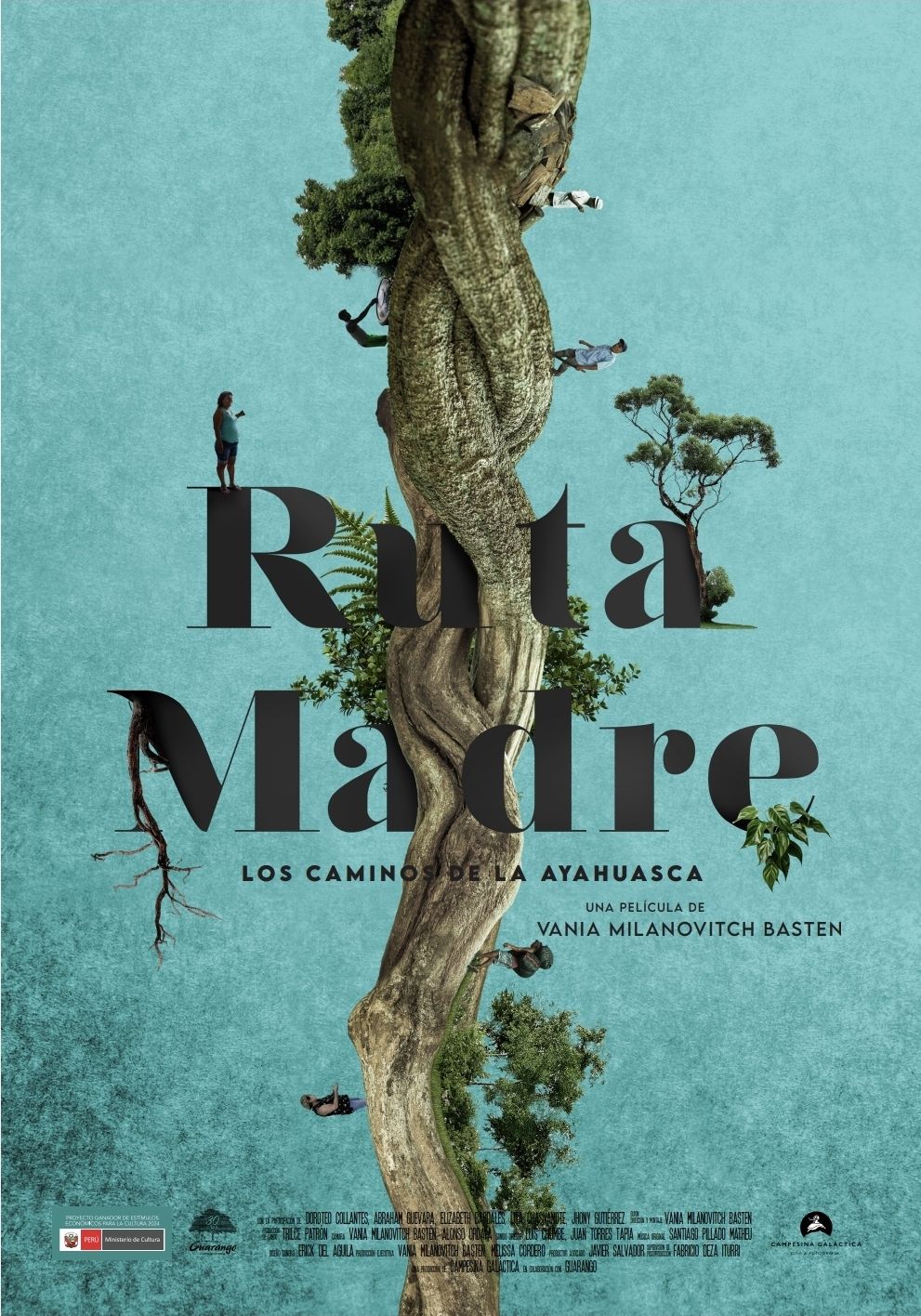 RUTA MADRE