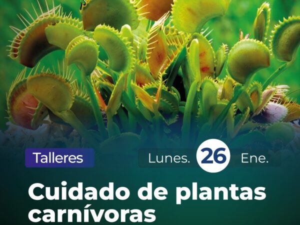 CUIDADO DE PLANTAS CARNÍVORAS