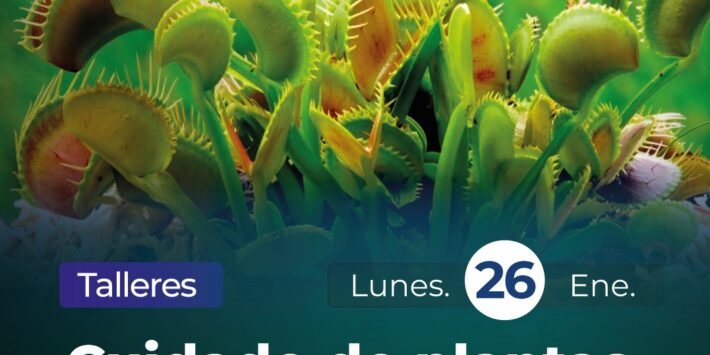 CUIDADO DE PLANTAS CARNÍVORAS