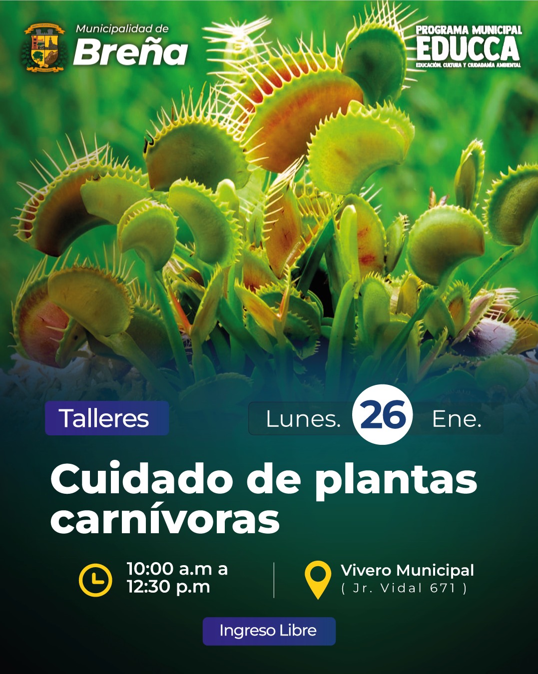 CUIDADO DE PLANTAS CARNÍVORAS